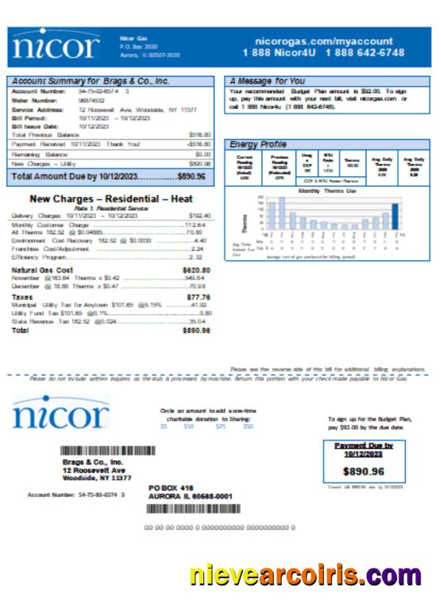 Illinois Nicor gas business utility bill